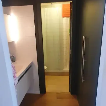 Precioso Con Vistas Al Pico 塞尔勒